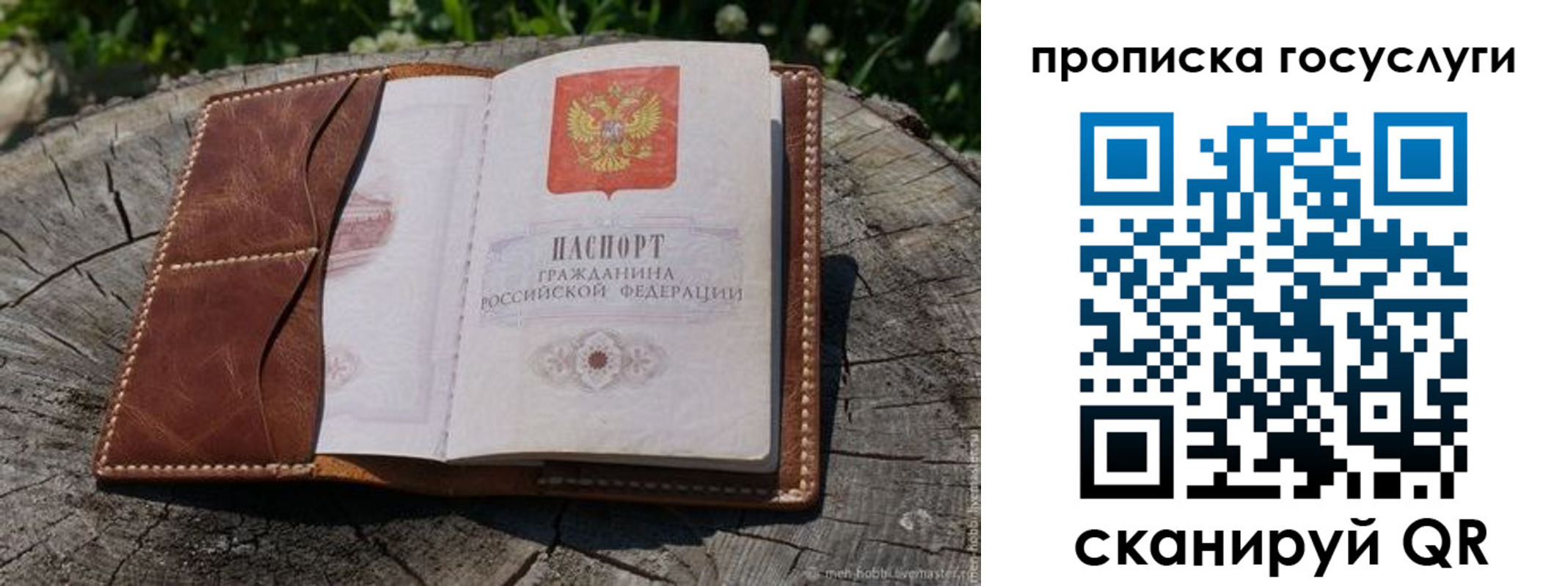прописка для школы в Белореченске